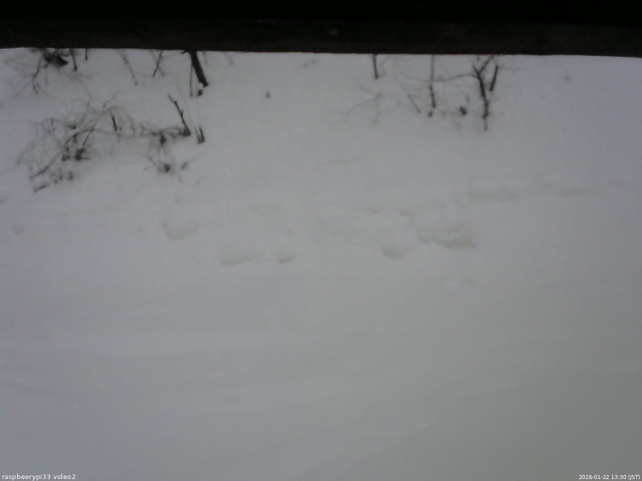 長野県菅平高原 ゆたか山荘 南側 2026/01/22 13:30