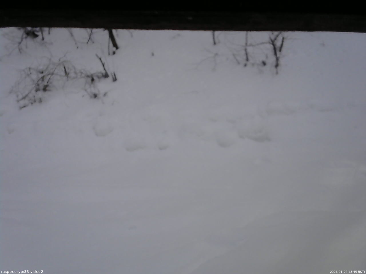 長野県菅平高原 ゆたか山荘 南側 2026/01/22 13:45