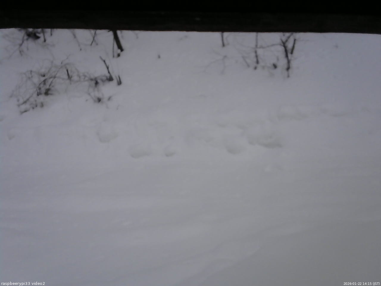 長野県菅平高原 ゆたか山荘 南側 2026/01/22 14:15