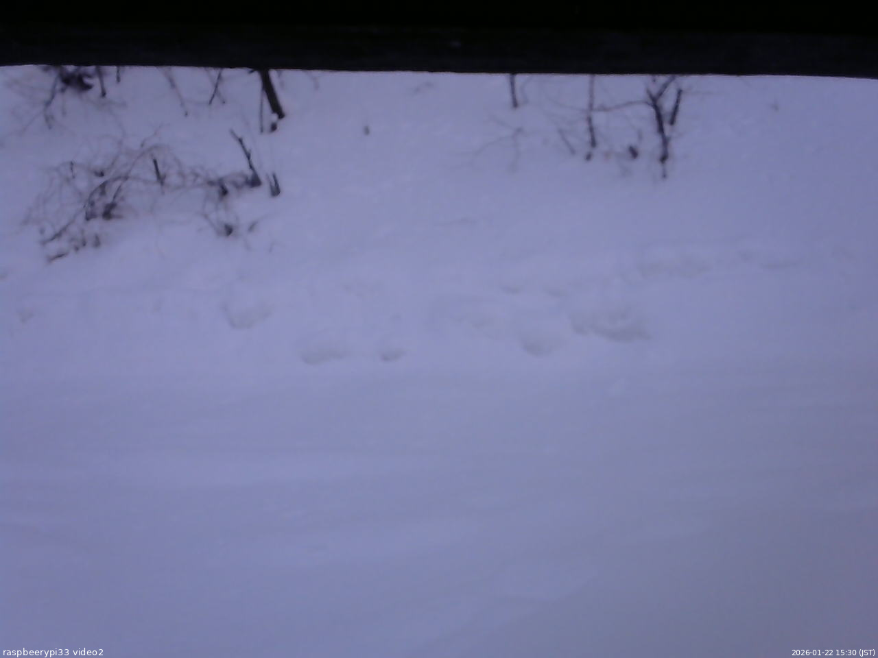長野県菅平高原 ゆたか山荘 南側 2026/01/22 15:30