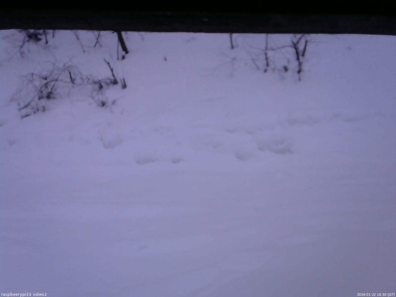 長野県菅平高原 ゆたか山荘 南側 2026/01/22 16:30