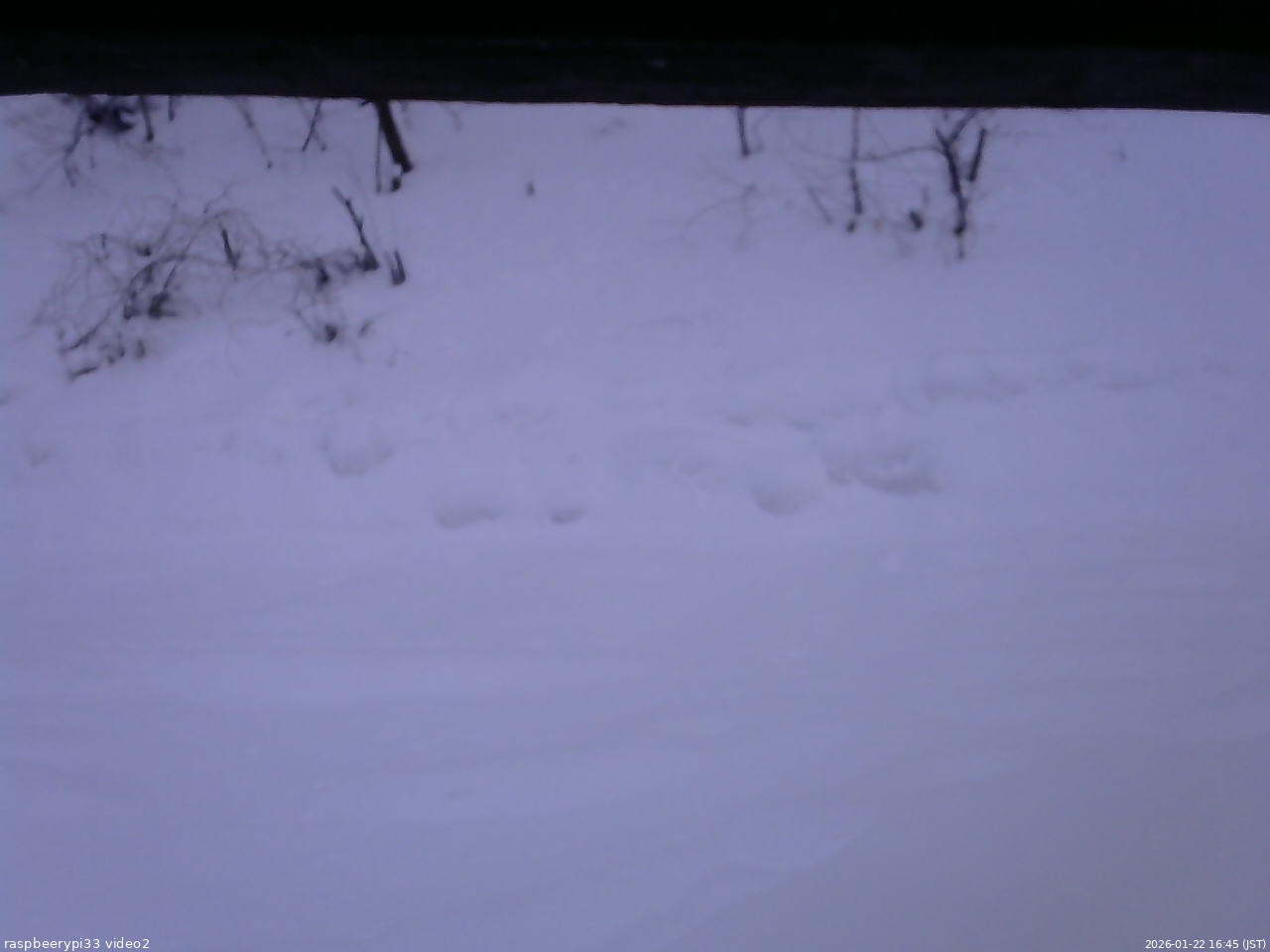 長野県菅平高原 ゆたか山荘 南側 2026/01/22 16:45