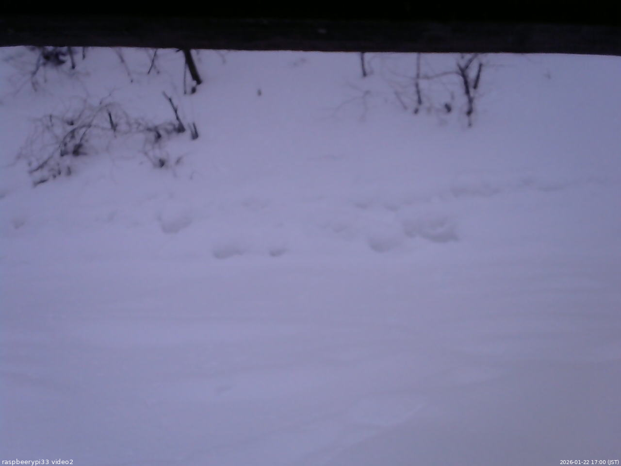 長野県菅平高原 ゆたか山荘 南側 2026/01/22 17:00