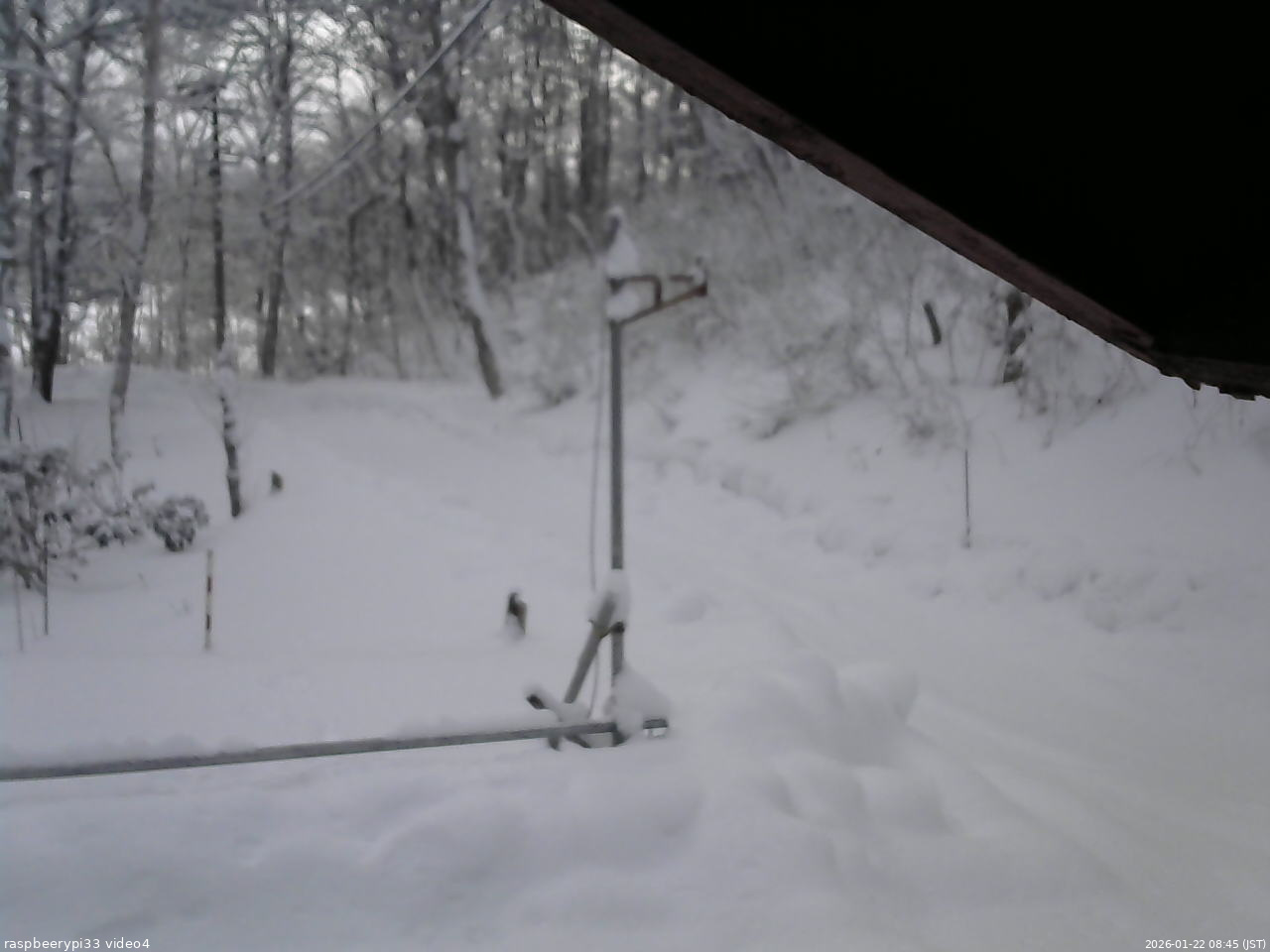 長野県菅平高原 ゆたか山荘 東側(坂下) 2026/01/22 08:45