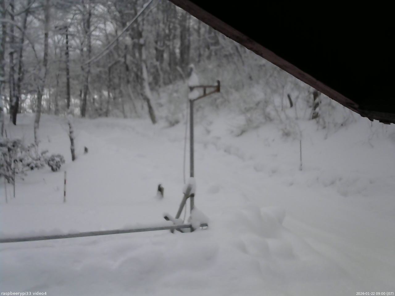長野県菅平高原 ゆたか山荘 東側(坂下) 2026/01/22 09:00