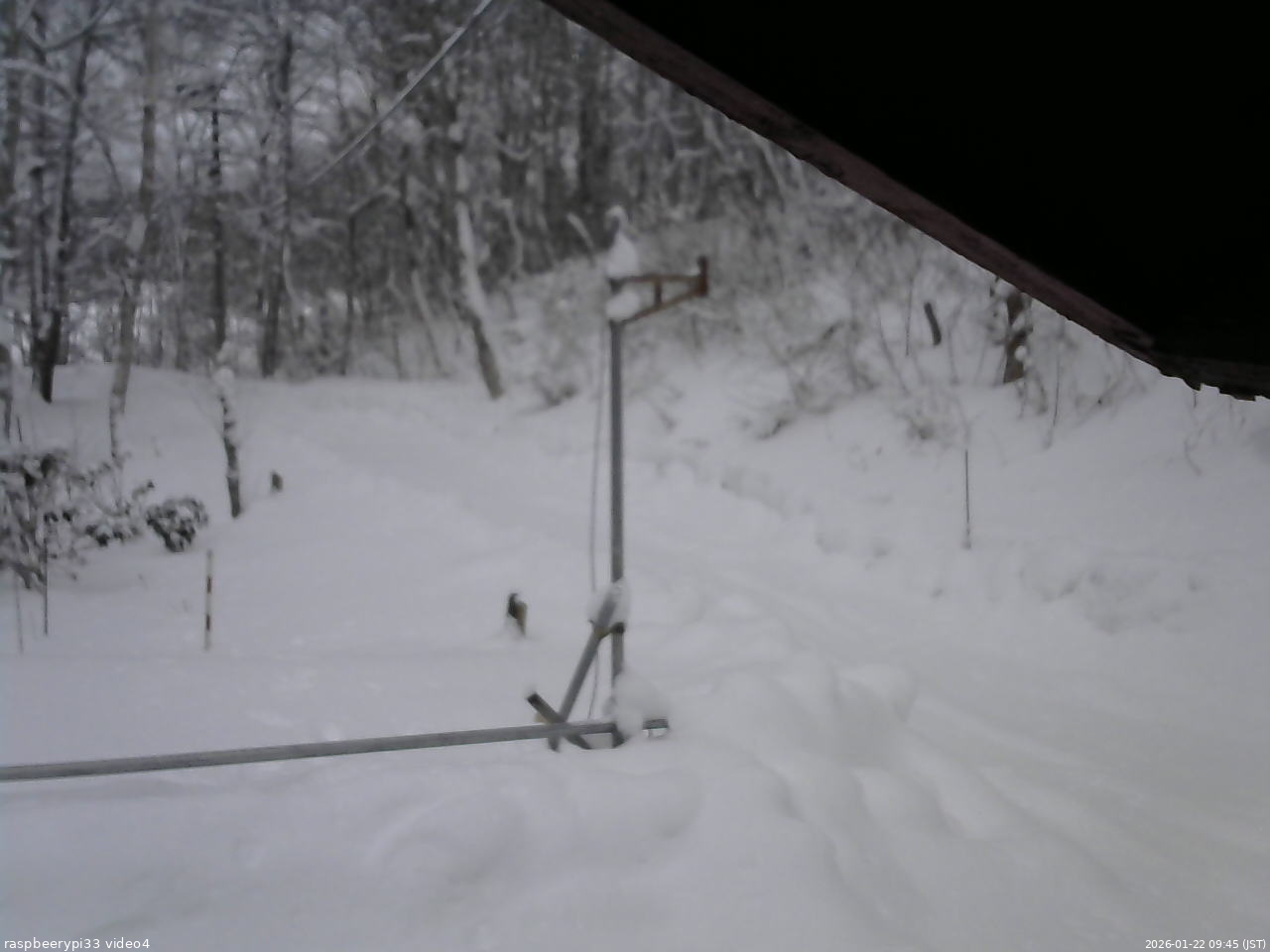 長野県菅平高原 ゆたか山荘 東側(坂下) 2026/01/22 09:45