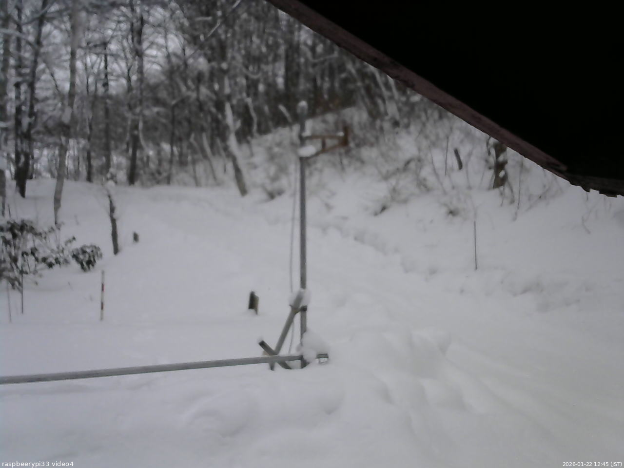 長野県菅平高原 ゆたか山荘 東側(坂下) 2026/01/22 12:45