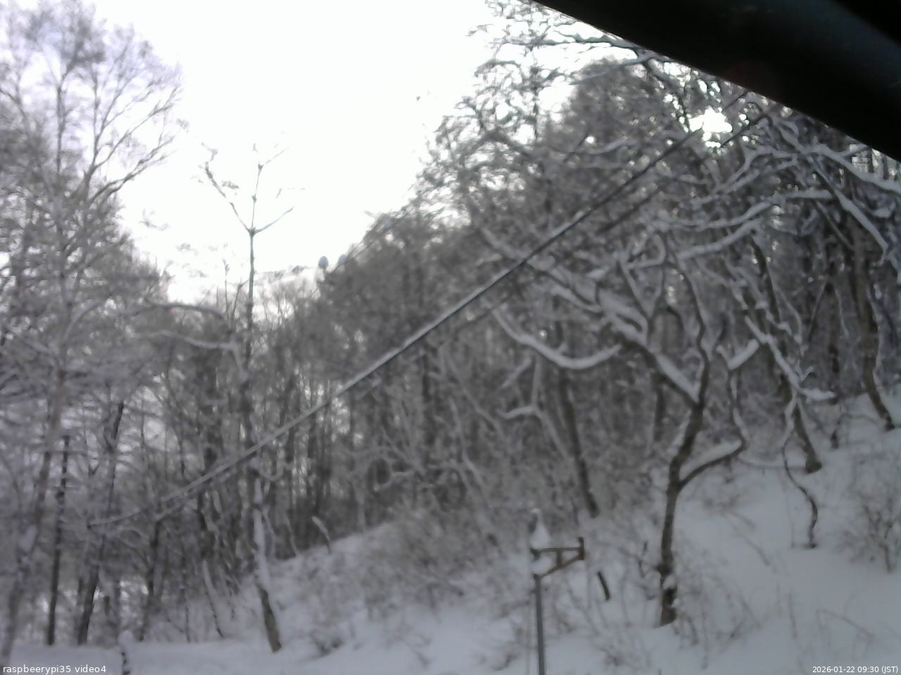 長野県菅平高原 ゆたか山荘 東側上空 2026/01/22 09:30