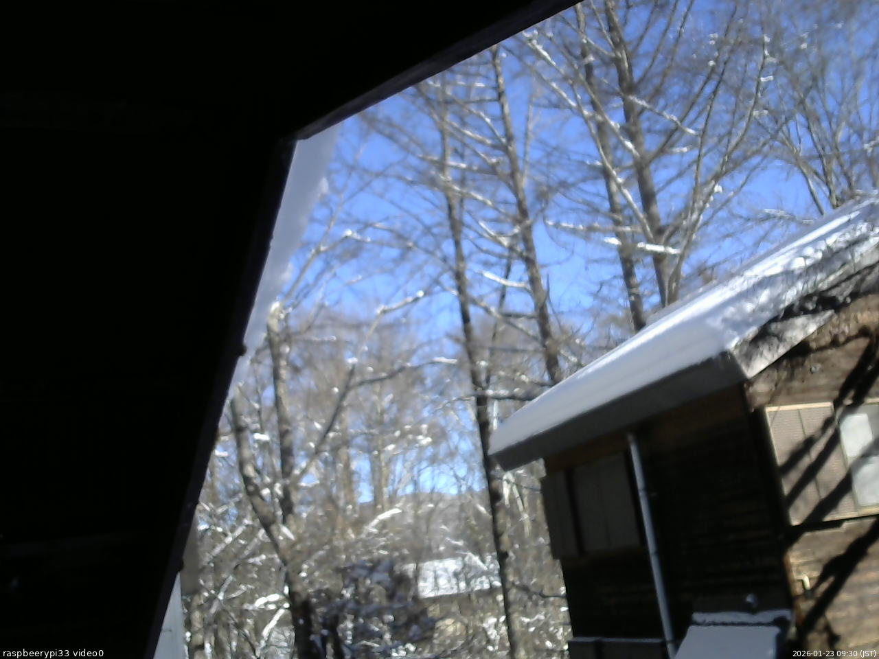 長野県菅平高原 ゆたか山荘 北側 2026/01/23 09:30
