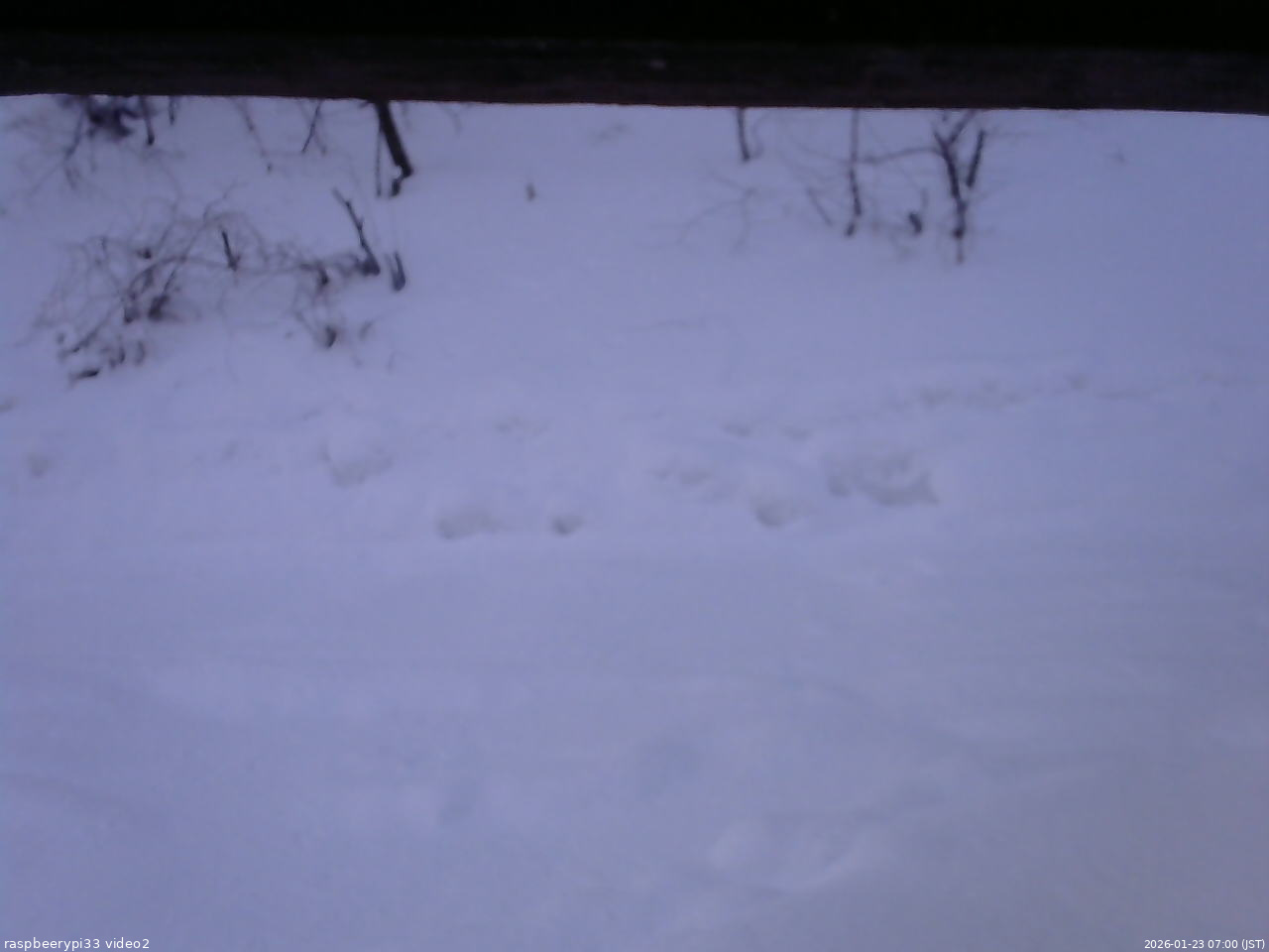 長野県菅平高原 ゆたか山荘 南側 2026/01/23 07:00