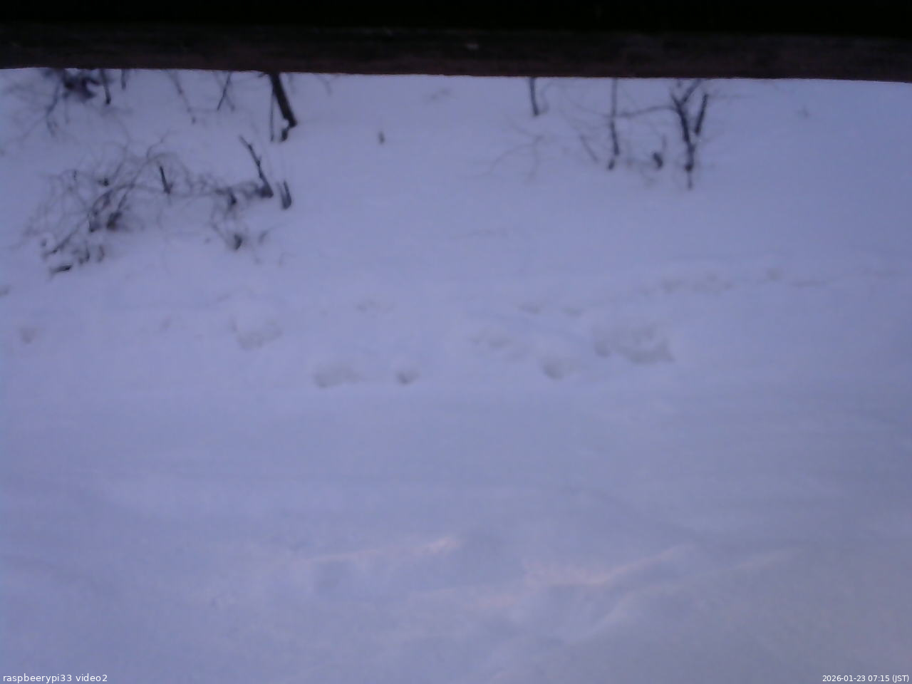 長野県菅平高原 ゆたか山荘 南側 2026/01/23 07:15