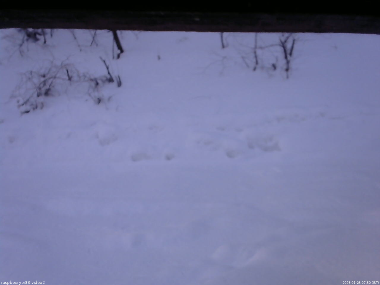 長野県菅平高原 ゆたか山荘 南側 2026/01/23 07:30
