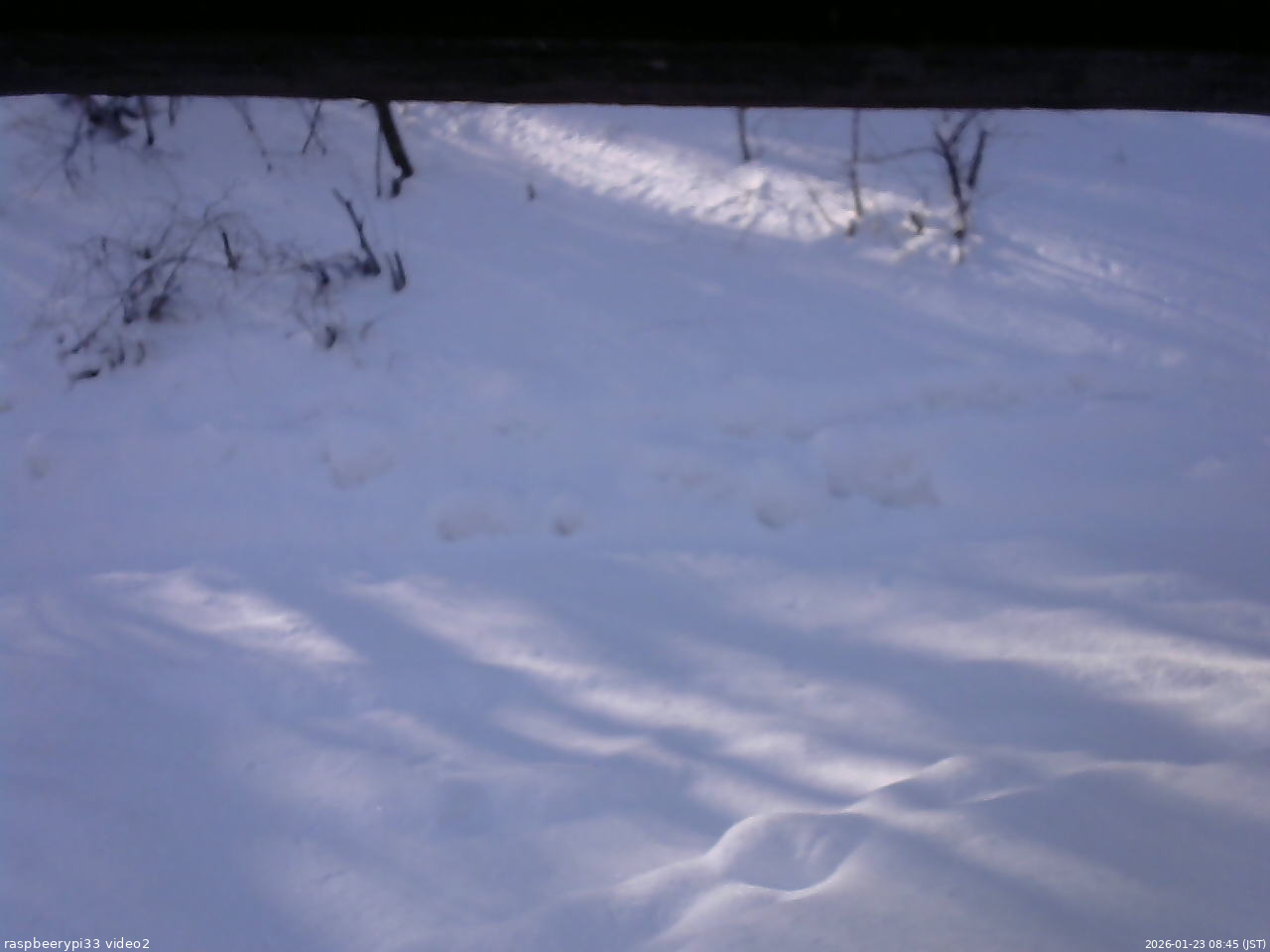 長野県菅平高原 ゆたか山荘 南側 2026/01/23 08:45