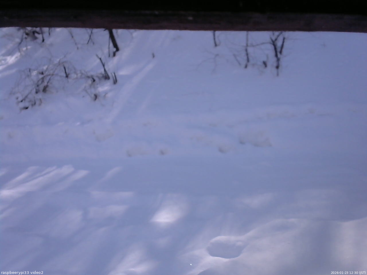 長野県菅平高原 ゆたか山荘 南側 2026/01/23 12:30