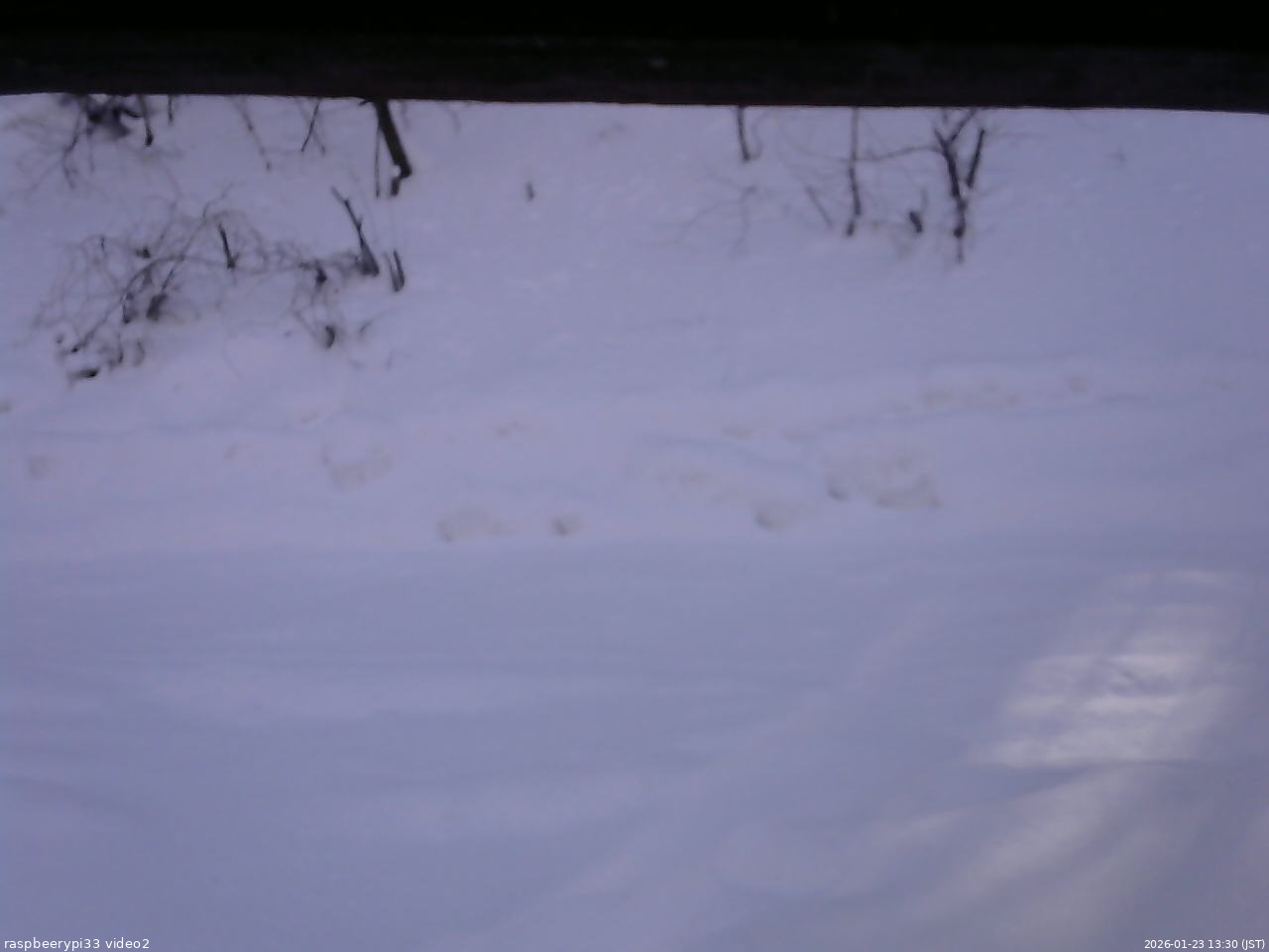 長野県菅平高原 ゆたか山荘 南側 2026/01/23 13:30