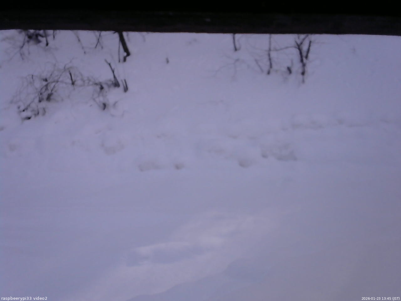 長野県菅平高原 ゆたか山荘 南側 2026/01/23 13:45