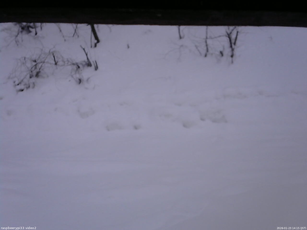長野県菅平高原 ゆたか山荘 南側 2026/01/23 14:15