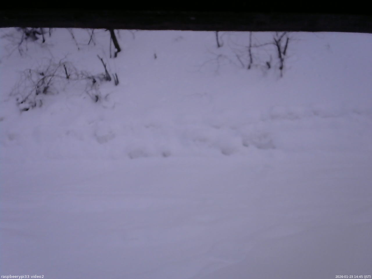 長野県菅平高原 ゆたか山荘 南側 2026/01/23 14:45
