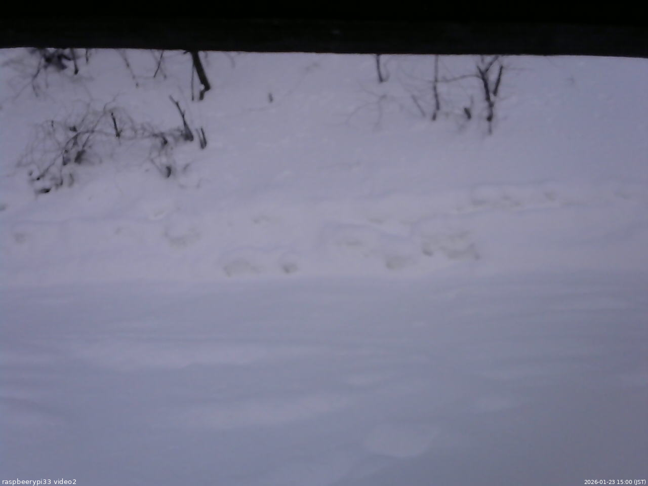 長野県菅平高原 ゆたか山荘 南側 2026/01/23 15:00