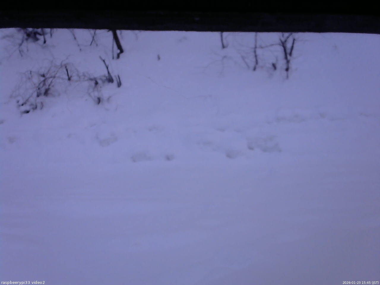長野県菅平高原 ゆたか山荘 南側 2026/01/23 15:45
