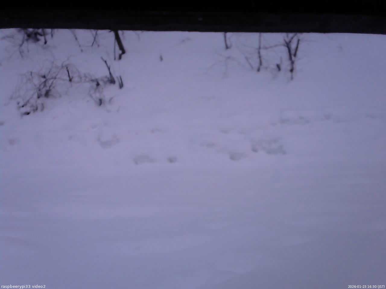 長野県菅平高原 ゆたか山荘 南側 2026/01/23 16:30