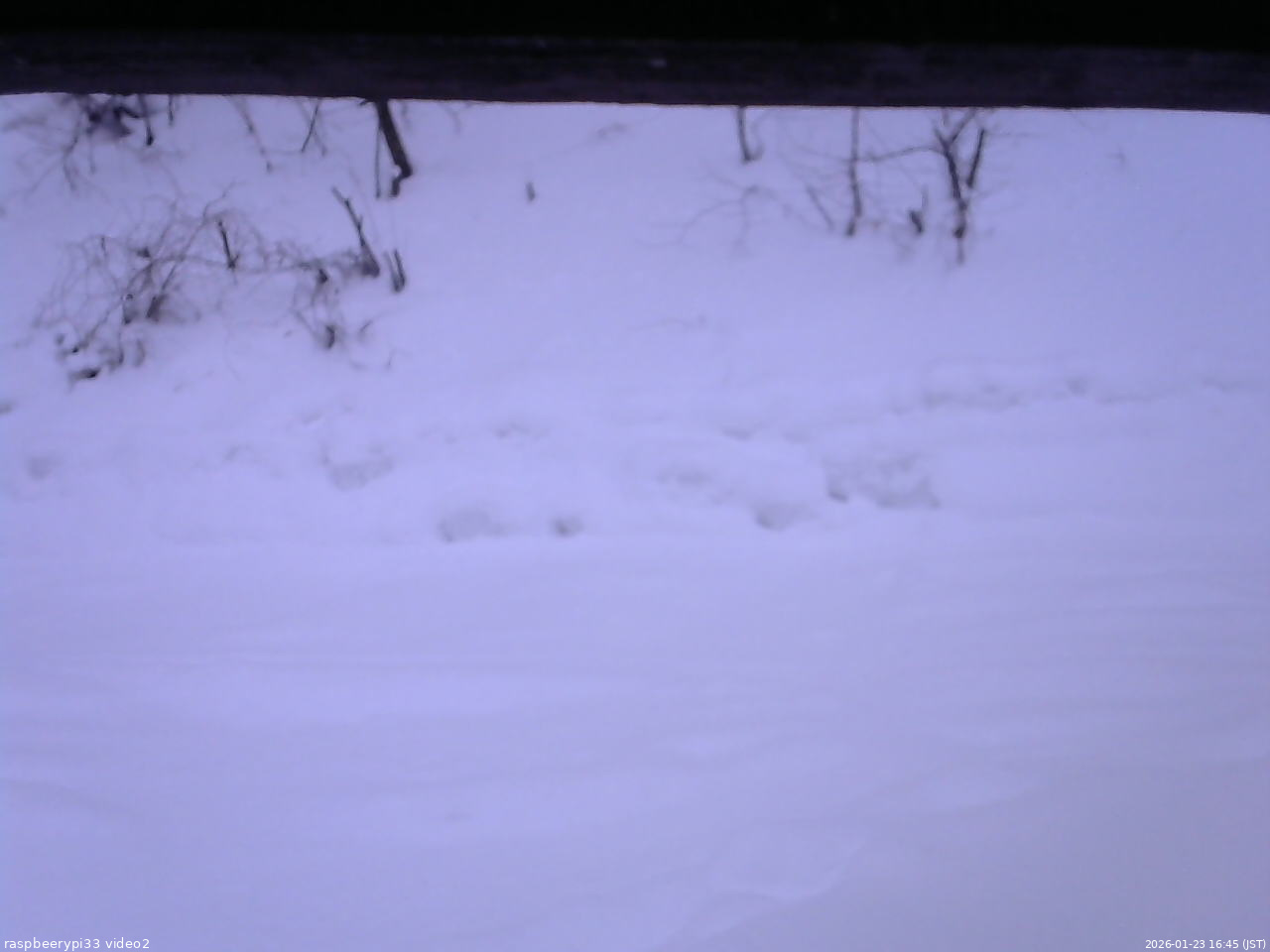 長野県菅平高原 ゆたか山荘 南側 2026/01/23 16:45