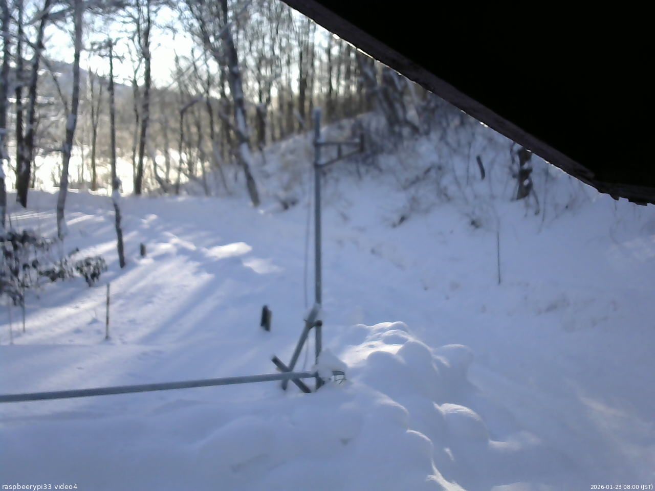 長野県菅平高原 ゆたか山荘 東側(坂下) 2026/01/23 08:00