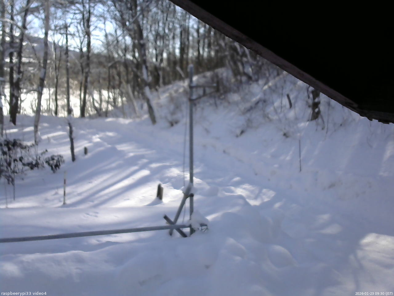 長野県菅平高原 ゆたか山荘 東側(坂下) 2026/01/23 09:30