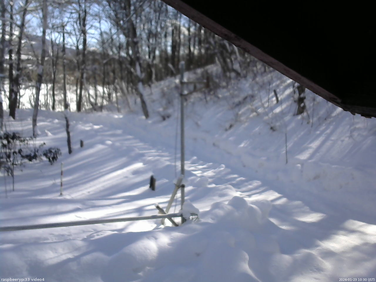 長野県菅平高原 ゆたか山荘 東側(坂下) 2026/01/23 10:30