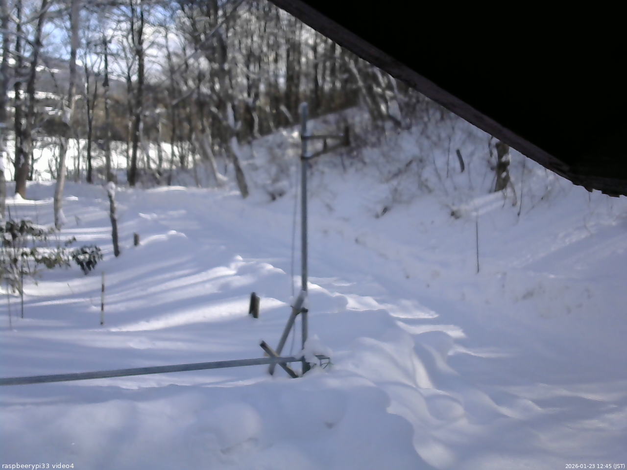 長野県菅平高原 ゆたか山荘 東側(坂下) 2026/01/23 12:45