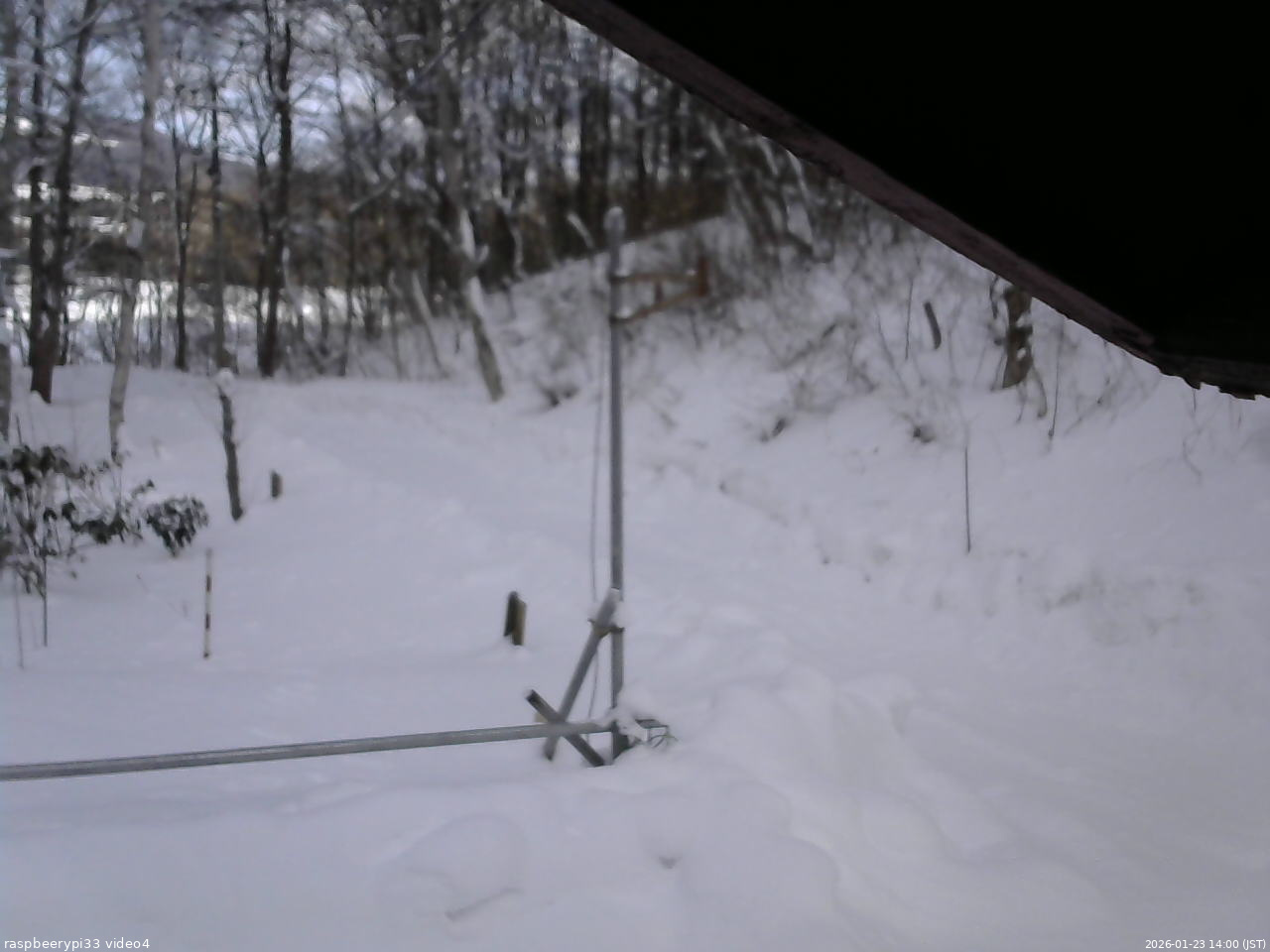 長野県菅平高原 ゆたか山荘 東側(坂下) 2026/01/23 14:00