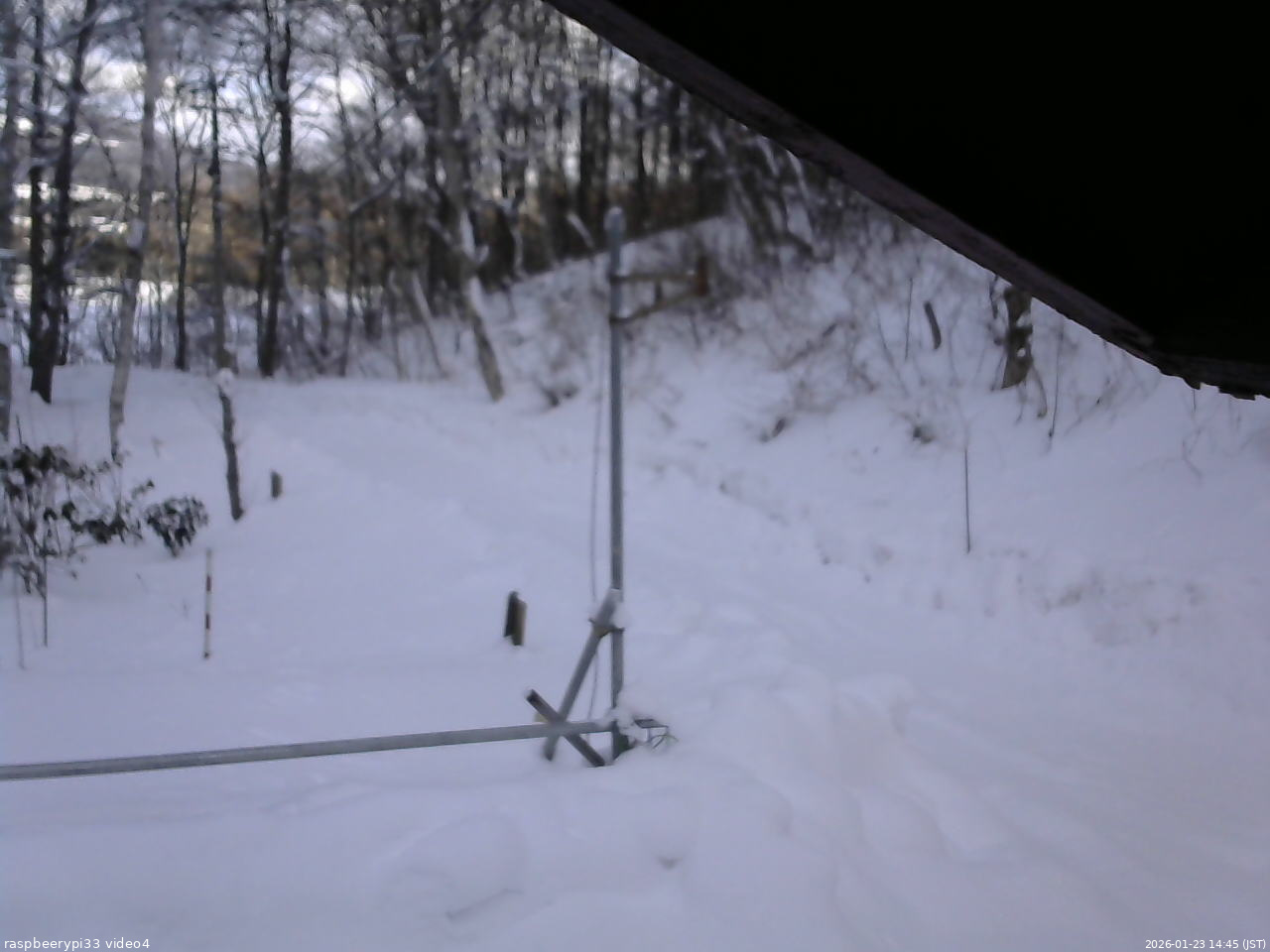 長野県菅平高原 ゆたか山荘 東側(坂下) 2026/01/23 14:45