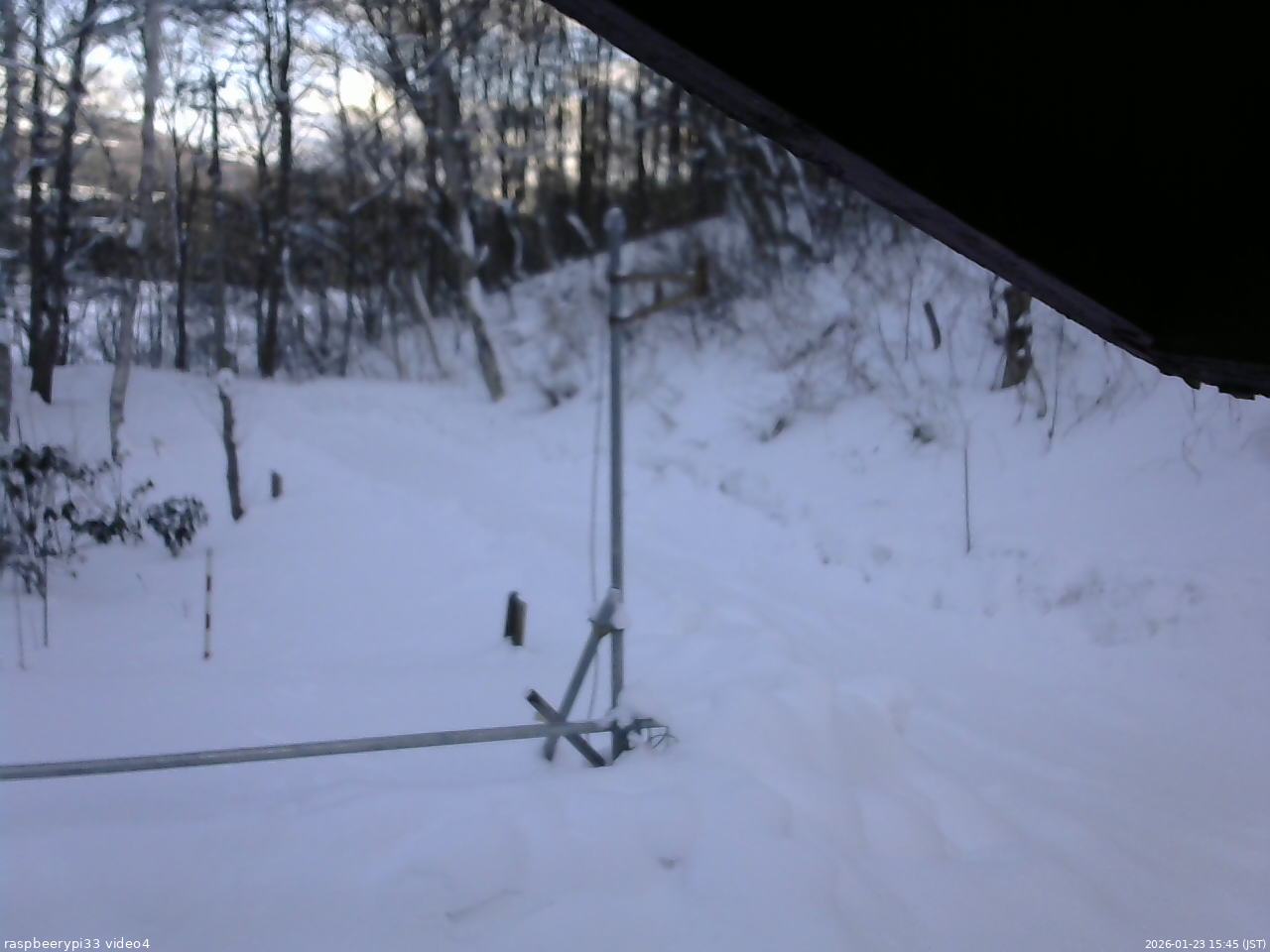 長野県菅平高原 ゆたか山荘 東側(坂下) 2026/01/23 15:45