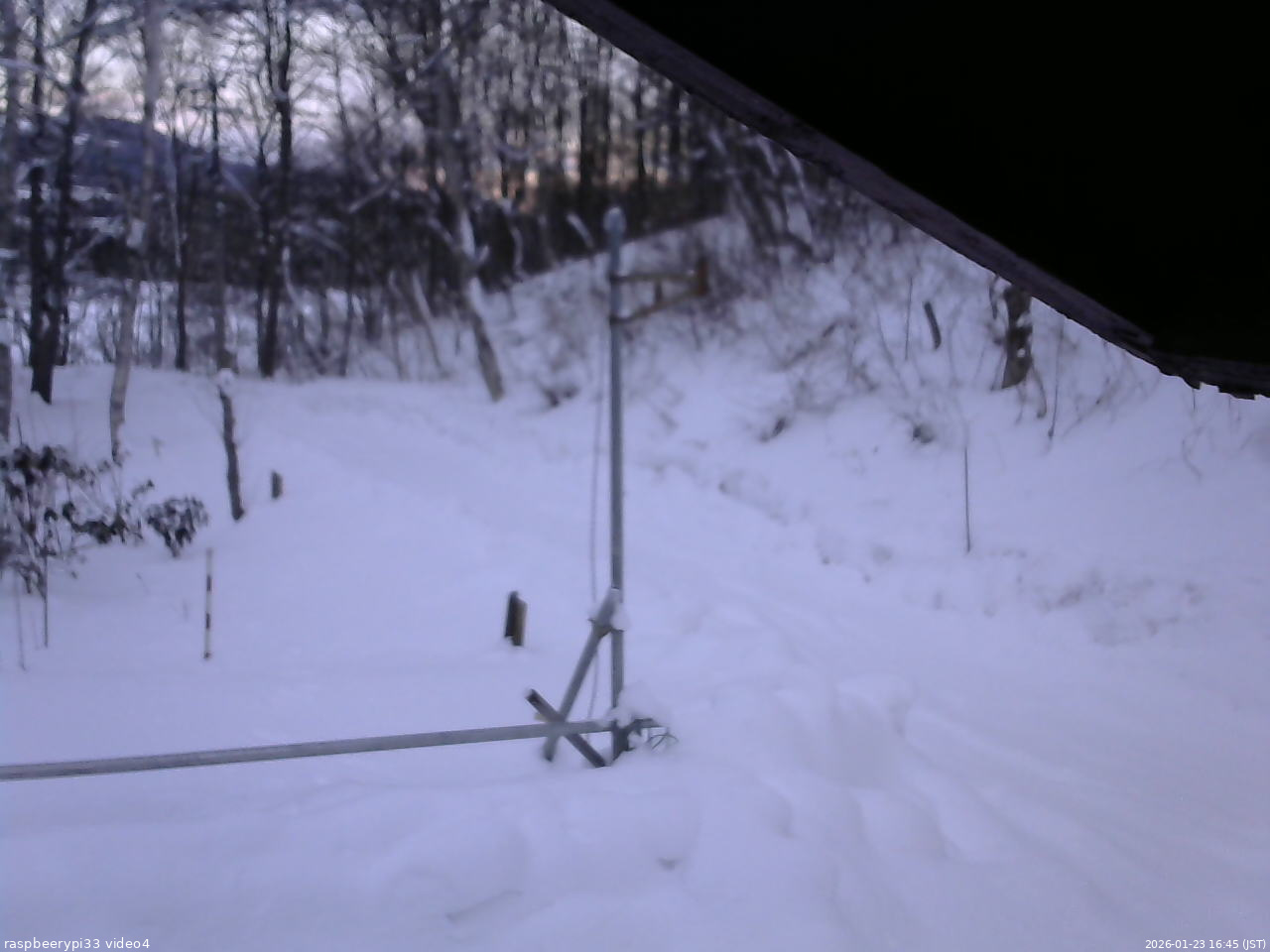 長野県菅平高原 ゆたか山荘 東側(坂下) 2026/01/23 16:45