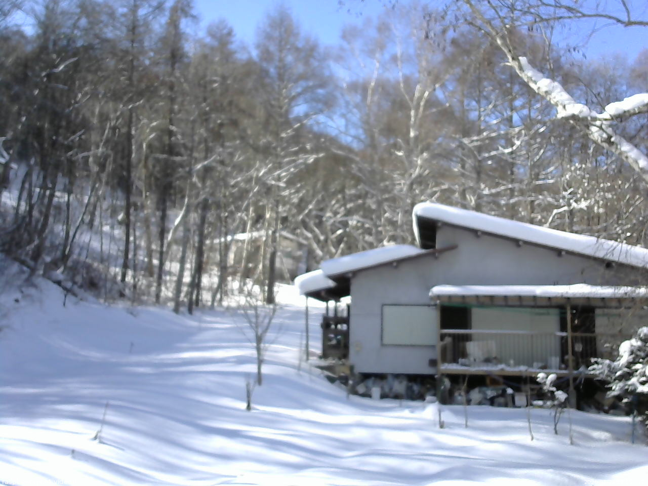 長野県菅平高原 ゆたか山荘 西側(坂上) 2026/01/23 12:15