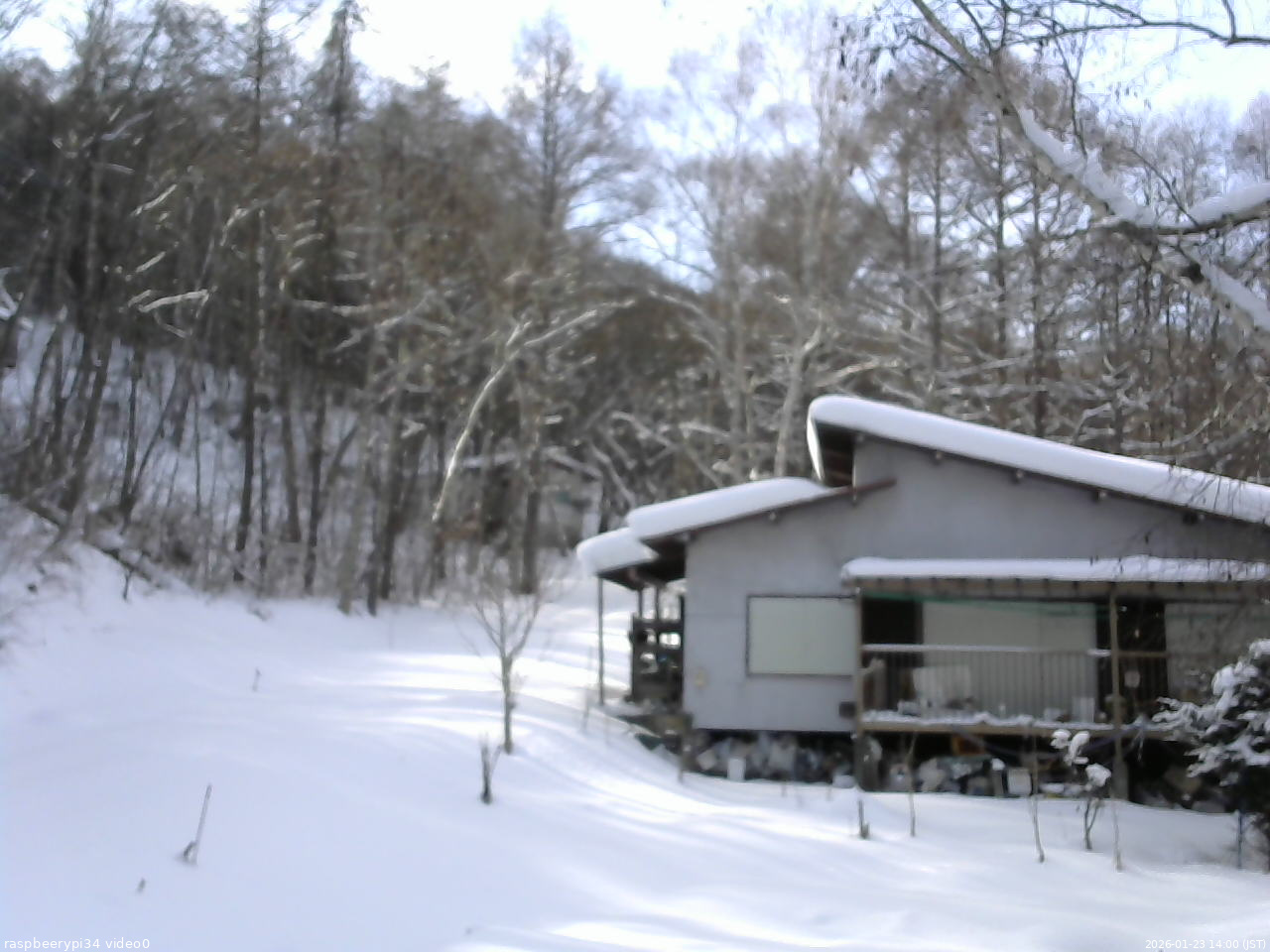 長野県菅平高原 ゆたか山荘 西側(坂上) 2026/01/23 14:00