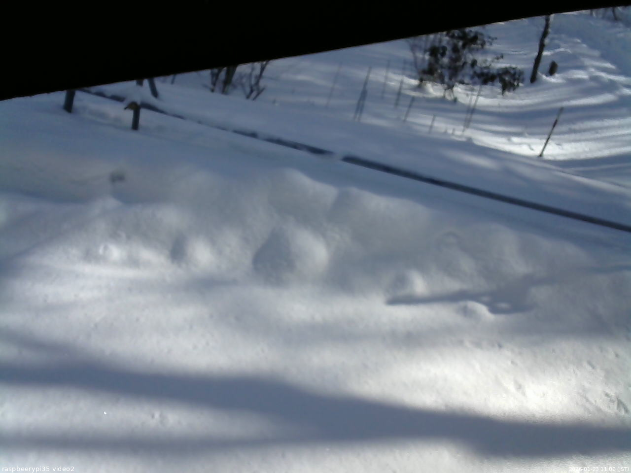 長野県菅平高原 ゆたか山荘 駐車場 2026/01/23 11:00