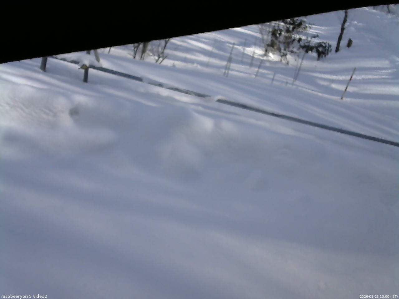長野県菅平高原 ゆたか山荘 駐車場 2026/01/23 13:00