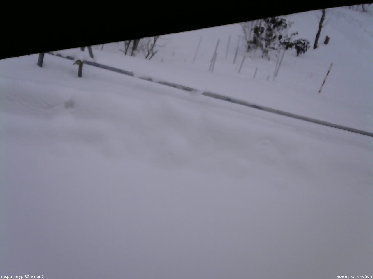 長野県菅平高原 ゆたか山荘 駐車場 2026/01/23 14:45