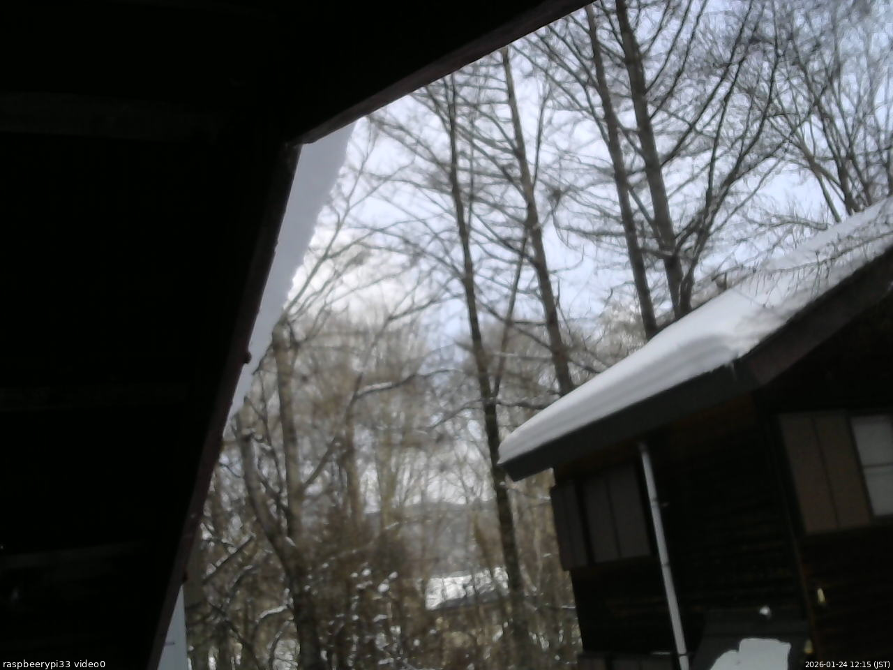 長野県菅平高原 ゆたか山荘 北側 2026/01/24 12:15