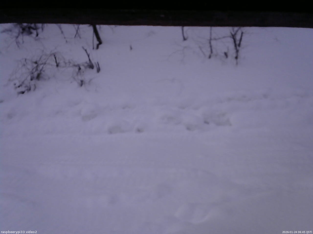 長野県菅平高原 ゆたか山荘 南側 2026/01/24 06:45