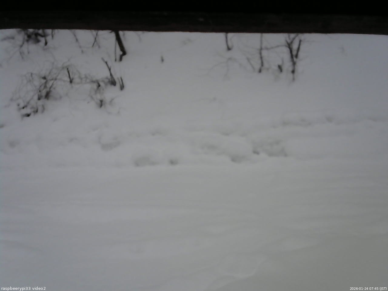 長野県菅平高原 ゆたか山荘 南側 2026/01/24 07:45