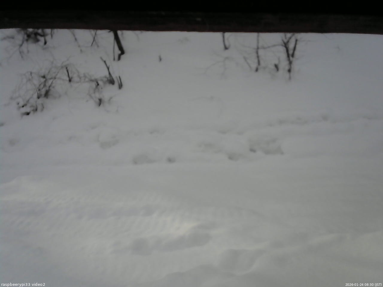 長野県菅平高原 ゆたか山荘 南側 2026/01/24 08:30