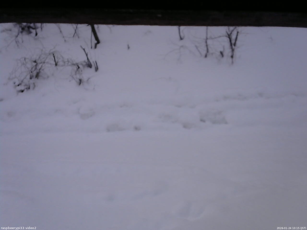 長野県菅平高原 ゆたか山荘 南側 2026/01/24 10:15
