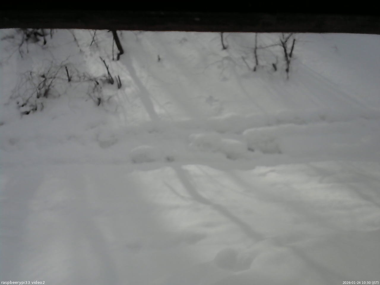 長野県菅平高原 ゆたか山荘 南側 2026/01/24 10:30