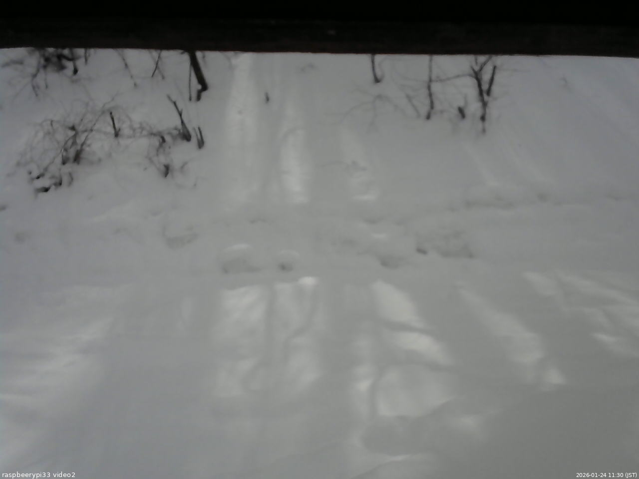 長野県菅平高原 ゆたか山荘 南側 2026/01/24 11:30