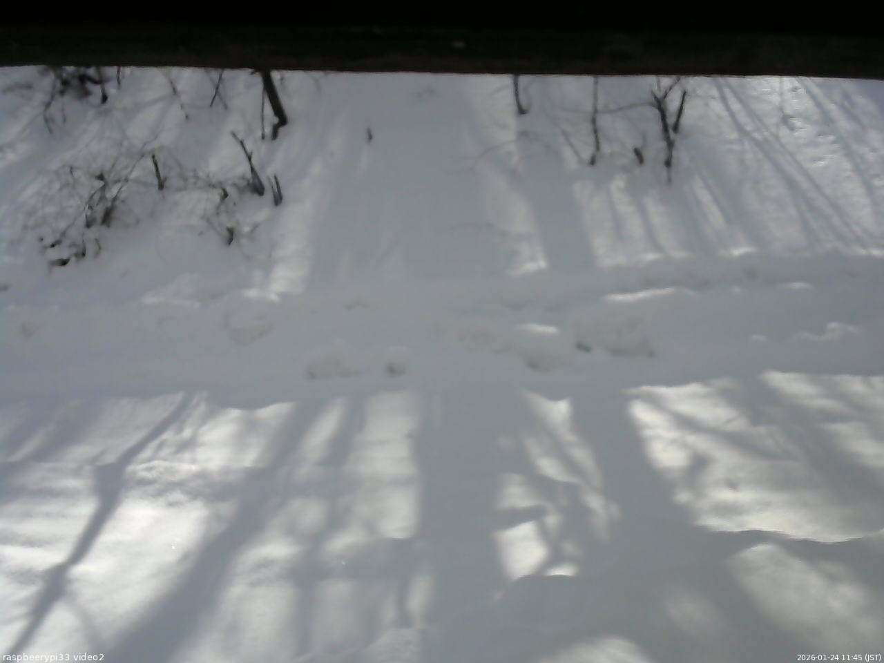 長野県菅平高原 ゆたか山荘 南側 2026/01/24 11:45