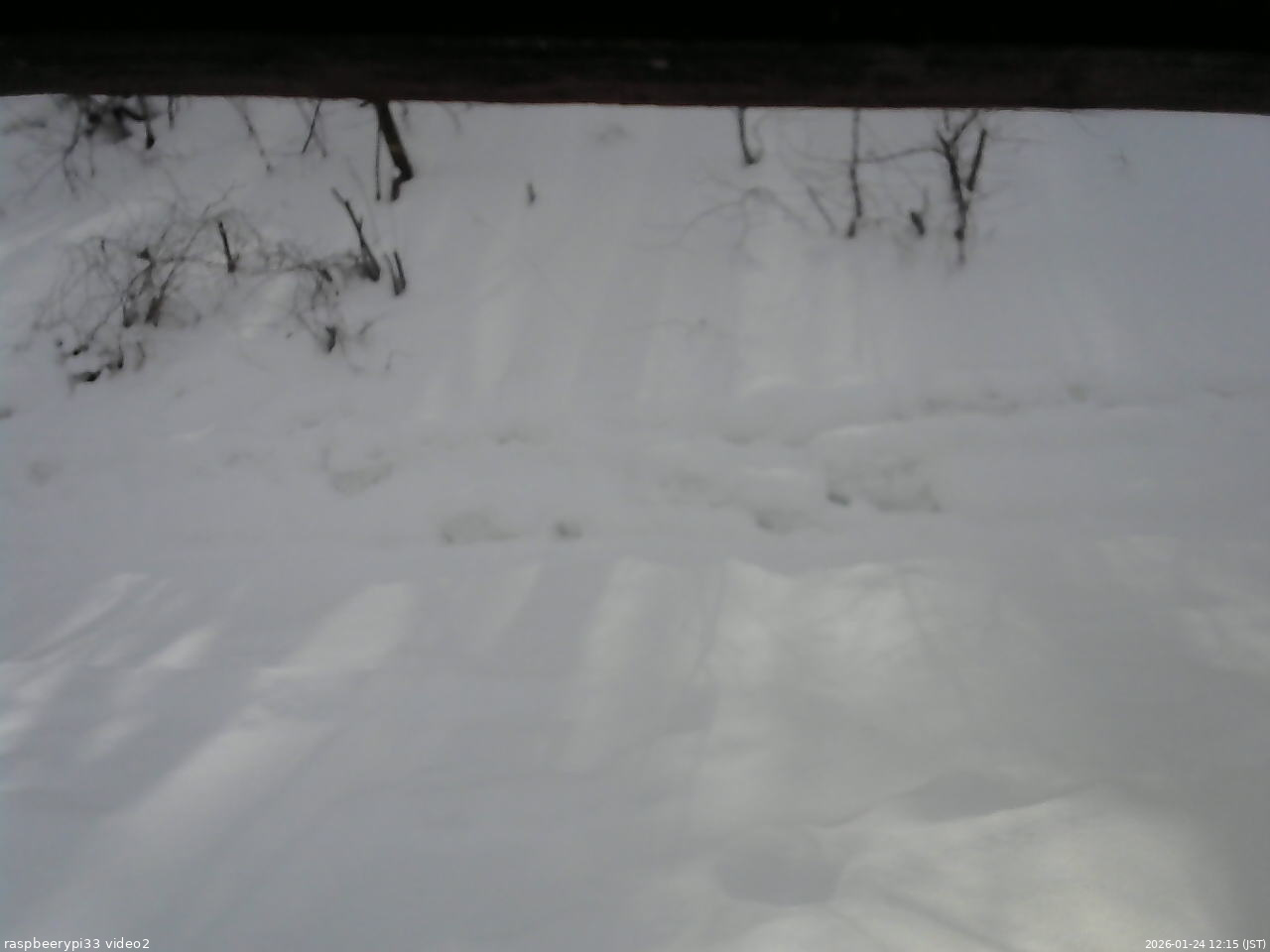 長野県菅平高原 ゆたか山荘 南側 2026/01/24 12:15