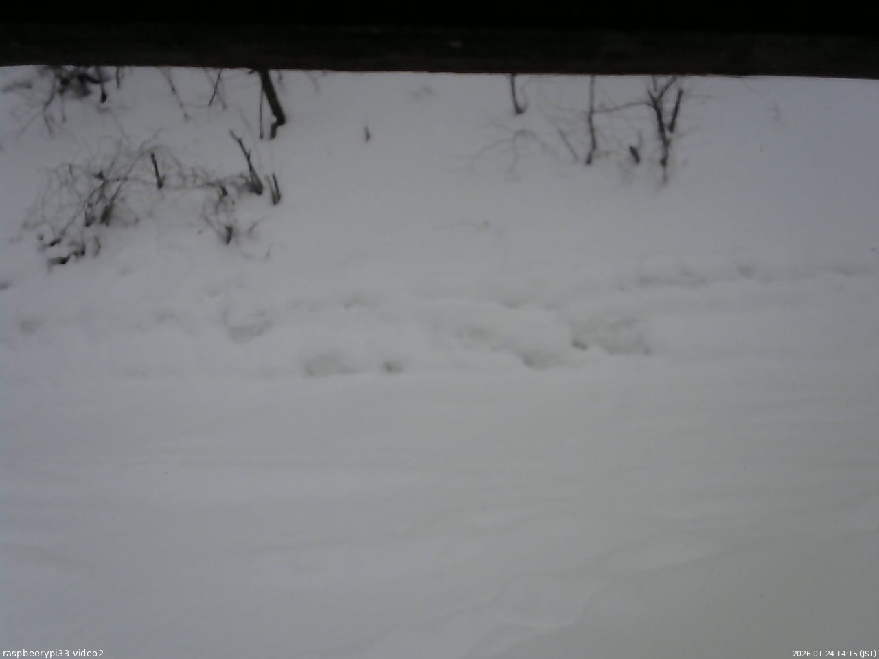 長野県菅平高原 ゆたか山荘 南側 2026/01/24 14:15