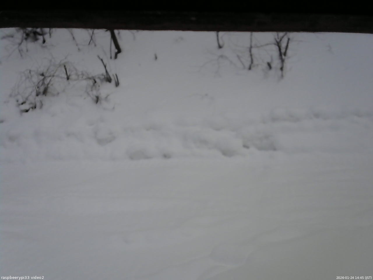 長野県菅平高原 ゆたか山荘 南側 2026/01/24 14:45